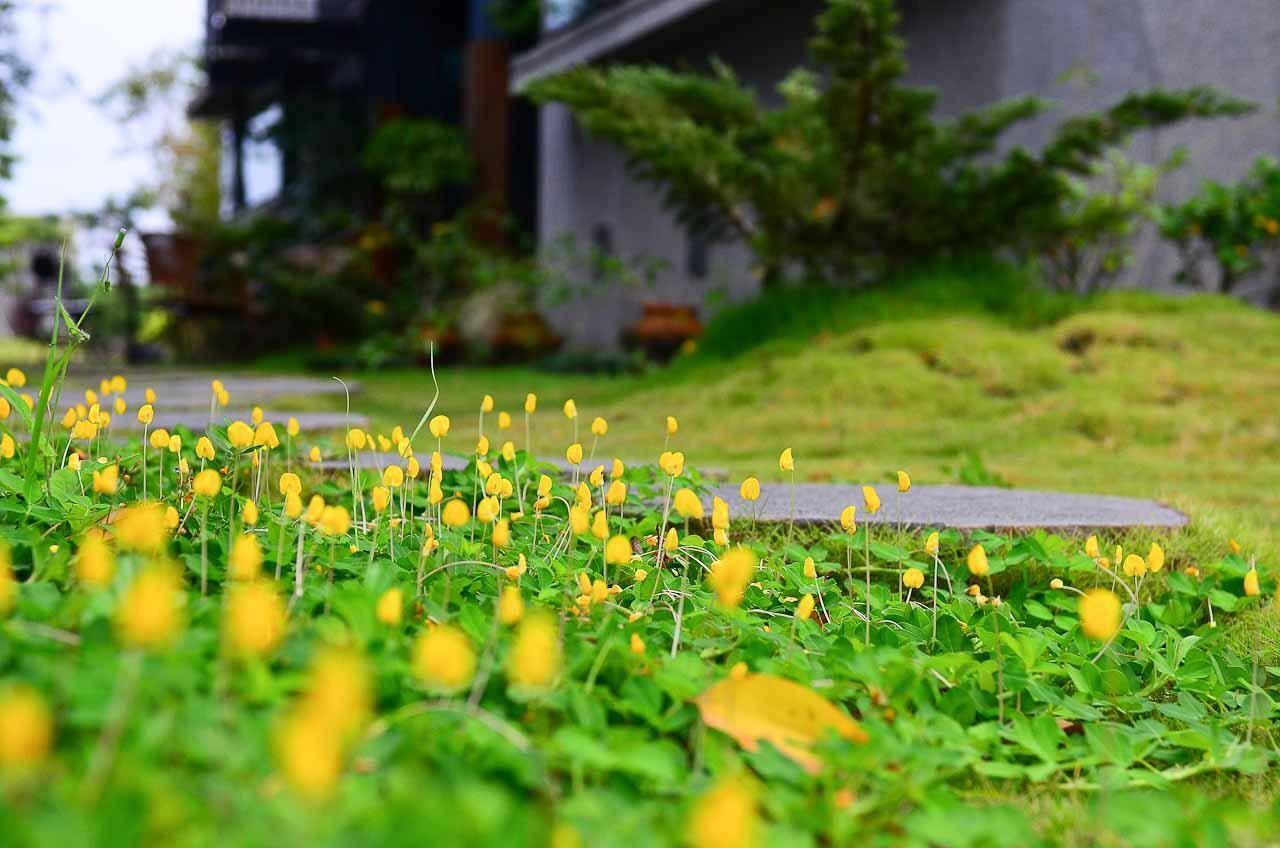 建築師 湧泉 泡湯 會館 Apartman Tungsan Kültér fotó